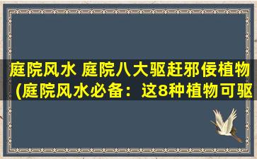 庭院风水 庭院八大驱赶邪佞植物(庭院风水必备：这8种植物可驱赶邪气恶势力！)